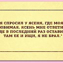 ���� ����, ������, 50 ��� - ��������� 12 ������� 2015 � ������ ������ ��������