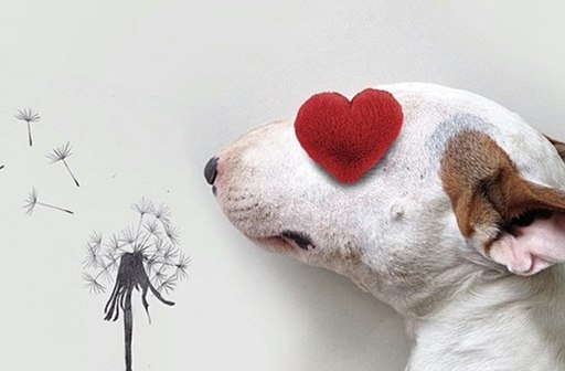 С днем Святого Валентина.Поздравляю я тебя,И желаю эндорфиновИ сердечного огня!С днем Святого ...