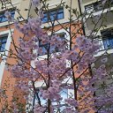 ������ �� ������� ������-����� 2015�