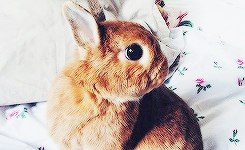 •°https://fotostrana.ru/away?to=/sl/68D2 - 23  2014  16:57