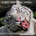 ���� ����, ���� - ��������� 11 ����� 2015 � ������ ������ ��������