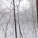 ���� Valka, ������, 63 ���� - ��������� 30 ������ 2015 � ������ ���� ����������