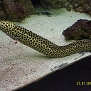 ���� Eugene, �������, 43 ���� - ��������� 18 ������� 2014 � ������ ����������� ��������