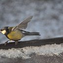 ���� Credo, ������� - ��������� 20 ������ 2015 � ������ ������-���� 2015�