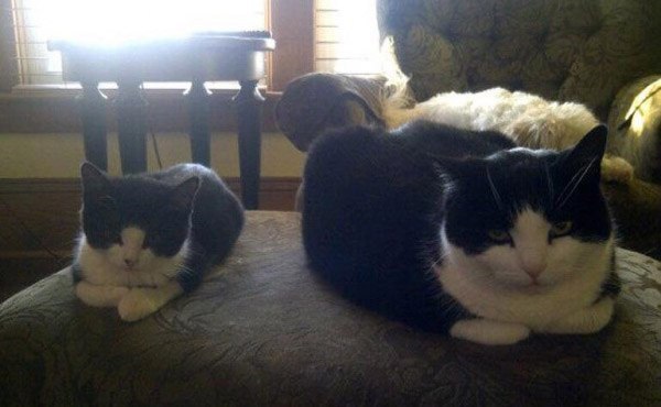    :3 - 5