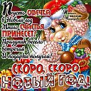 ���� �����, �����, 58 ��� - ��������� 30 ������� 2014 � ������ ������ ��������
