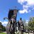 ���� �������, ������ - ��������� 3 ����� 2015