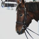 ���� ������, ����� - ��������� 22 ������ 2015 � ������ ������� �������� � ����������!)�