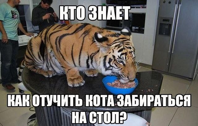  ? )))