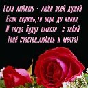 ���� ����, ���������� - ��������� 21 ����� 2015 � ������ ������ ��������