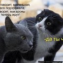 ���� �������, �����-���������, 75 ��� - ��������� 21 ������ 2015 � ������ ���� ����������