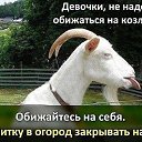 ���� �������, ������ - ��������� 18 ������ 2015 � ������ ������ ��������