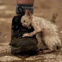 ���� ��������, ��������� - ��������� 24 ������� 2015 � ������ ������ ��������