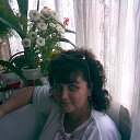 ���� ��������, ������ ��������, 66 ��� - ��������� 28 ������� 2015 � ������ ���� ����������