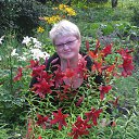 ���� ���������, ������� �����, 60 ��� - ��������� 19 ����� 2015 � ������ ���� ����������