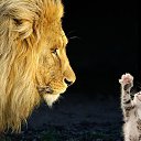 ���� Vladimir, ����������� - ��������� 25 ����� 2015 � ������ ������ ��������