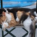 ���� ������ �������, �������, 67 ��� - ��������� 8 ����� 2015 � ������ ������ ����� � ���� .�