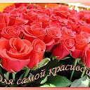 ���� ��� - B, ���������� - ��������� 8 ����� 2015 � ������ ������ ��������