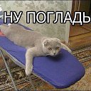 ���� ���������, �����-��������� - ��������� 4 ������ 2015 � ������ ������ ��������
