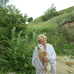 ������, ������