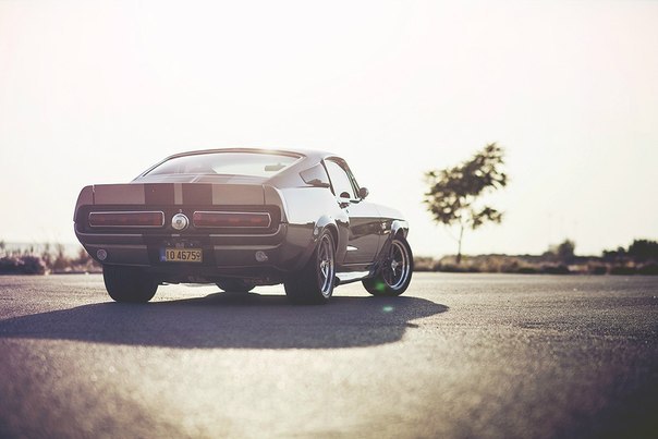 Shelby GT500 - 4