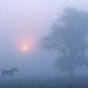 ���� �__ __..., ��������� - ��������� 6 ����� 2015 � ������ ���� ����������