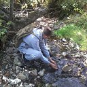 ���� ����, ���������, 33 ���� - ��������� 26 ������ 2015 � ������ ���� ����������