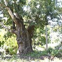 ��������� ������, �������� �� ������� ��� �����������