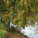 ���� ����, ������, 67 ��� - ��������� 20 ������� 2014 � ������ ���� ����������