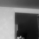   Murcielago, , 40  -  8  2015    