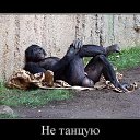 ���� ����, �����, 59 ��� - ��������� 25 ������ 2015 � ������ ������ ��������