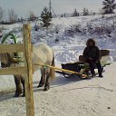 ���� ����, ������, 71 ��� - ��������� 21 ����� 2015