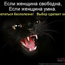 ���� C�������, �����, 60 ��� - ��������� 20 ������ 2015 � ������ ���� ����������