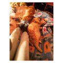 ���� ������, ������, 30 ��� - ��������� 28 ������� 2015 � ������ ���� ���� ������