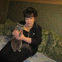 ���� ������, �����, 71 ��� - ��������� 2 ������ 2015 � ������ ���� ����������