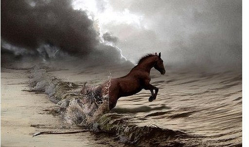 Поступки обладают силой. Особенно когда тот, кто их совершает, знает, что это - его последняя битва. ...