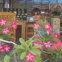  , --, 39  -  14  2014    2014