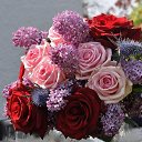 ���� �������, �����������, 61 ��� - ��������� 23 ����� 2015 � ������ ���� ����������