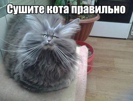    :-) - 20  2014  11:02