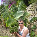 ���� �����, �����-���������, 37 ��� - ��������� 13 ������� 2015 � ������ ���� ����������