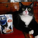 �������� �� ������� ���� ����������