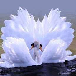 Svetlana, ������, 75 ���