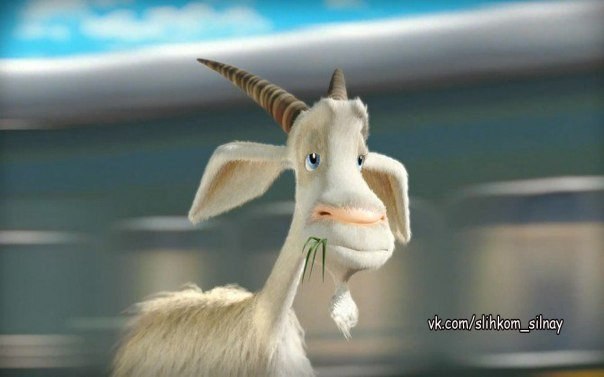 ,       ? - ,  ,    ?