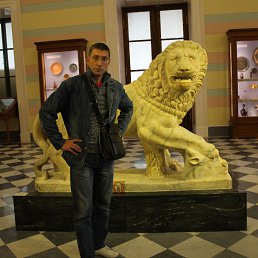 �������, �������, 51 ���