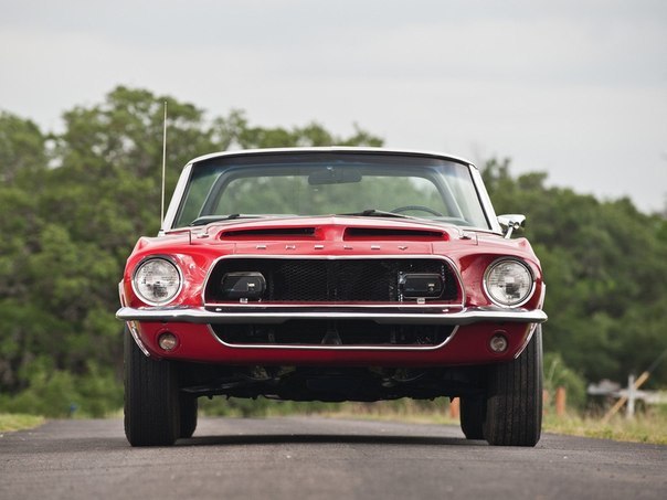 Shelby and Ford Mustang - 3