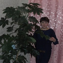 ���� �����, �����, 49 ��� - ��������� 27 ����� 2015
