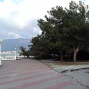 ���� �������, ��������� - ��������� 6 ������� 2015 � ������ ���� ����������