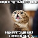 ���� �������, ��������� - ��������� 20 ������� 2015 � ������ ������ ��������