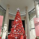 ���� �������, �����������, 48 ��� - ��������� 29 ������� 2014 � ������ ���� ����������