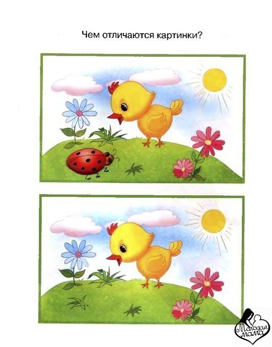 ������� ��� ����� 2-3 ���